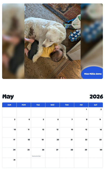 2026 - 2027 Miss Millie Anne - Pawidols Pet Calendar