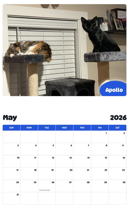 2026 - 2027 Apollo - Pawidols Pet Calendar