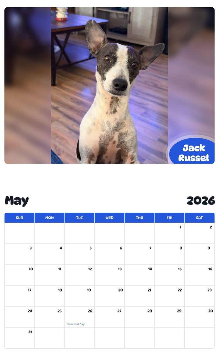 2026 - 2027 Jack Russel - Pawidols Pet Calendar