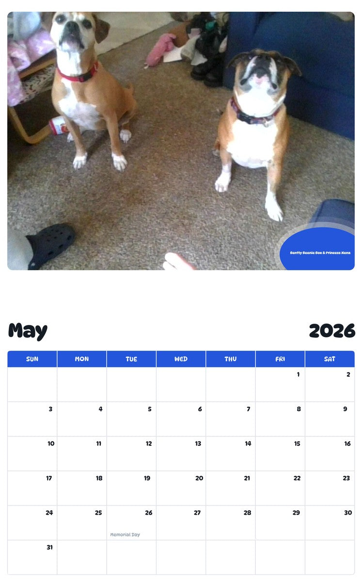 2026 - 2027 Bently Beenie Box & Princess Xena - Pawidols Pet Calendar