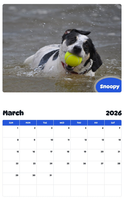 November 2025 - October 2026 Snoopy - Pawidols Pet Calendar