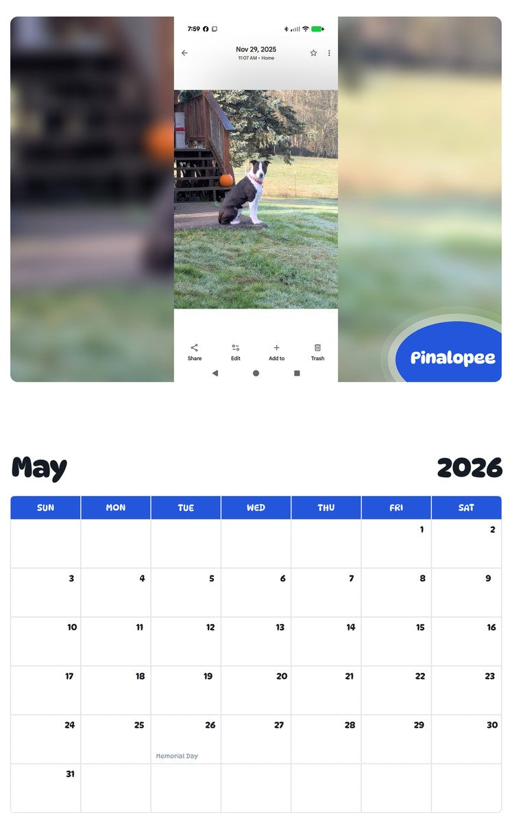 2026 - 2027 Pinalopee - Pawidols Pet Calendar