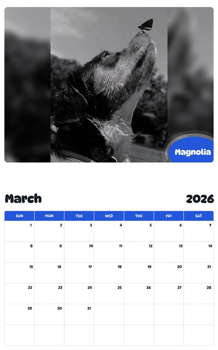 November 2025 - October 2026 Magnolia - Pawidols Pet Calendar