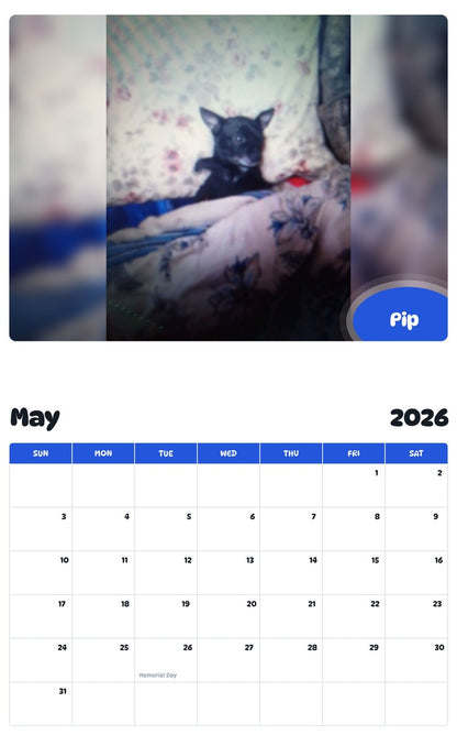 2026 - 2027 Pip - Pawidols Pet Calendar