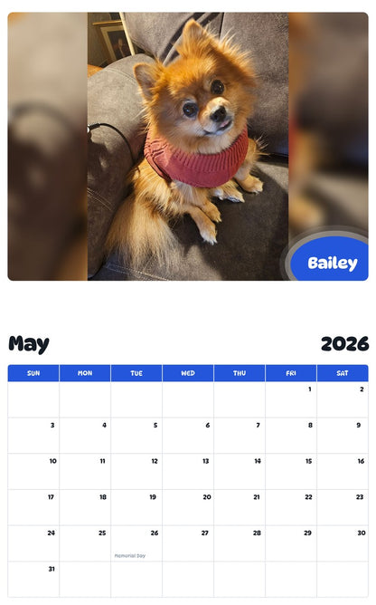 2026 - 2027 Bailey - Pawidols Pet Calendar