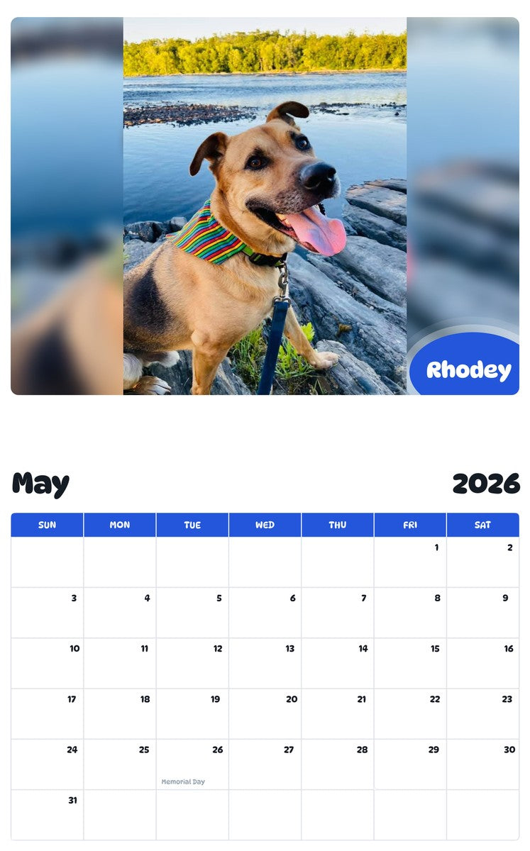 2026 - 2027 Rhodey - Pawidols Pet Calendar