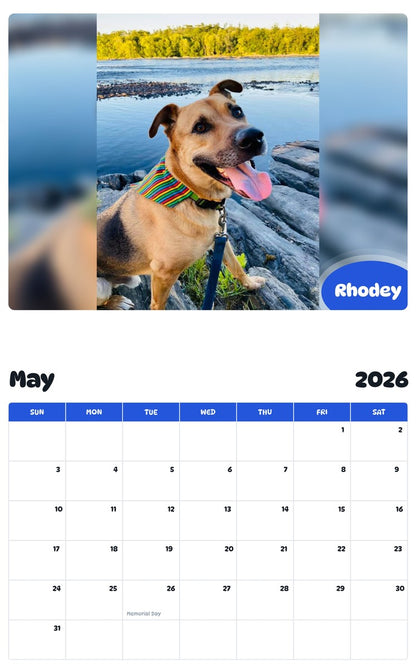 2026 - 2027 Rhodey - Pawidols Pet Calendar