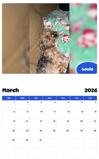 November 2025 - October 2026 Louie - Pawidols Pet Calendar
