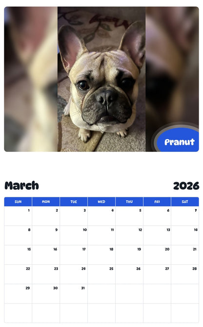 November 2025 - October 2026 Pranut - Pawidols Pet Calendar