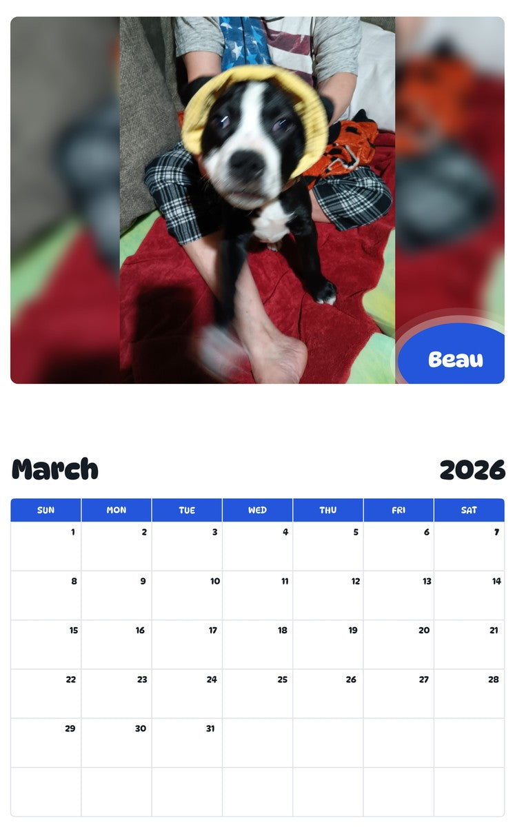 November 2025 - October 2026 Beau - Pawidols Pet Calendar