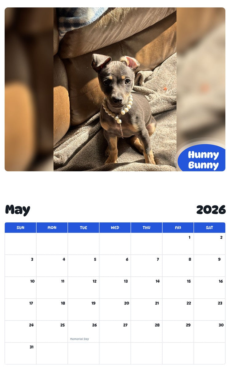 2026 - 2027 Hunny Bunny - Pawidols Pet Calendar