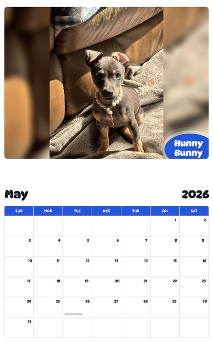 2026 - 2027 Hunny Bunny - Pawidols Pet Calendar