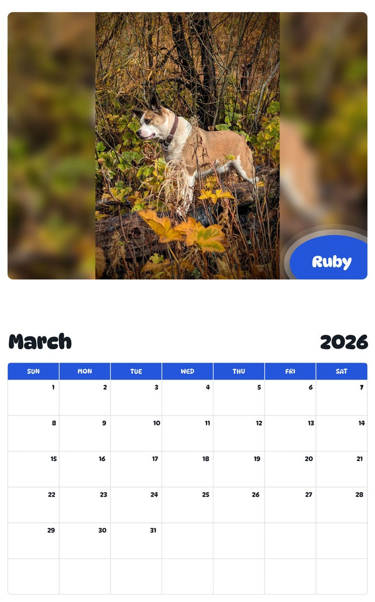 November 2025 - October 2026 Ruby - Pawidols Pet Calendar