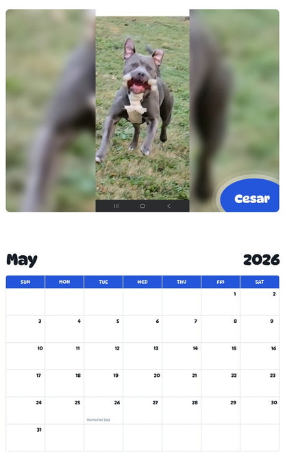 2026 - 2027 Cesar - Pawidols Pet Calendar