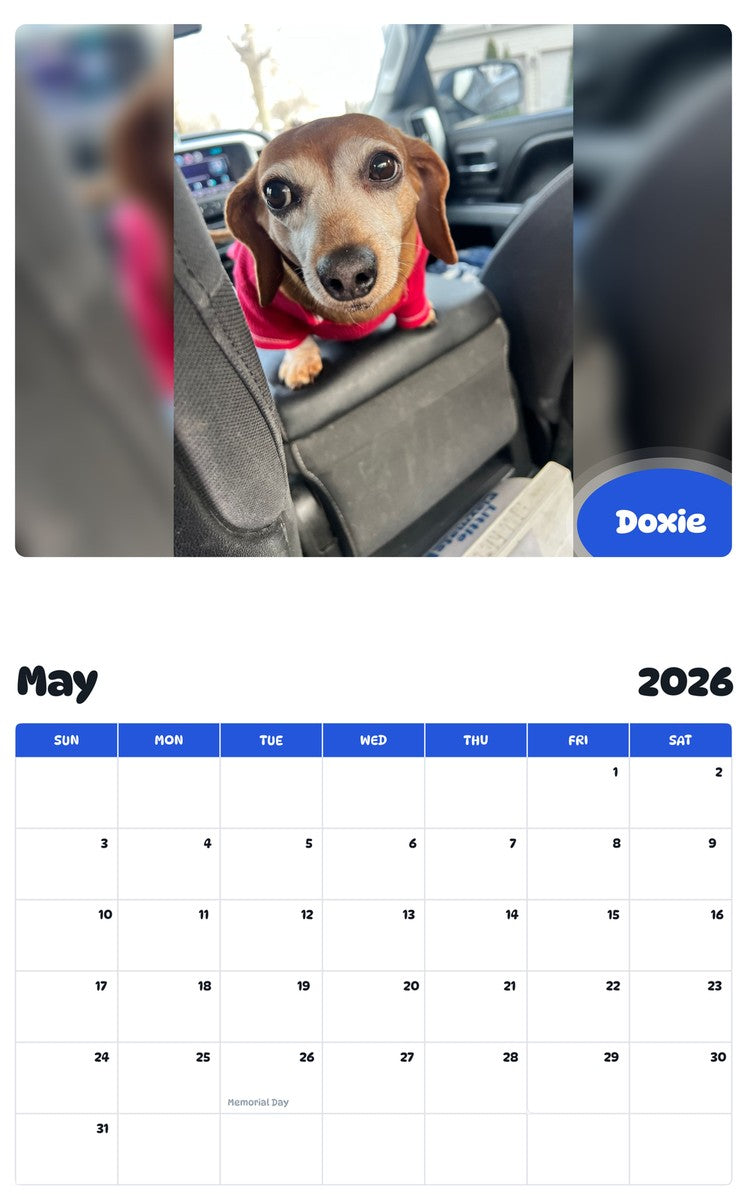 2026 - 2027 Doxie - Pawidols Pet Calendar