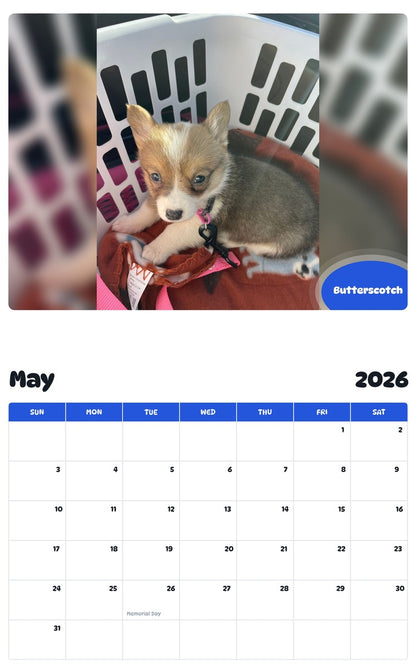 2026 - 2027 Butterscotch - Pawidols Pet Calendar