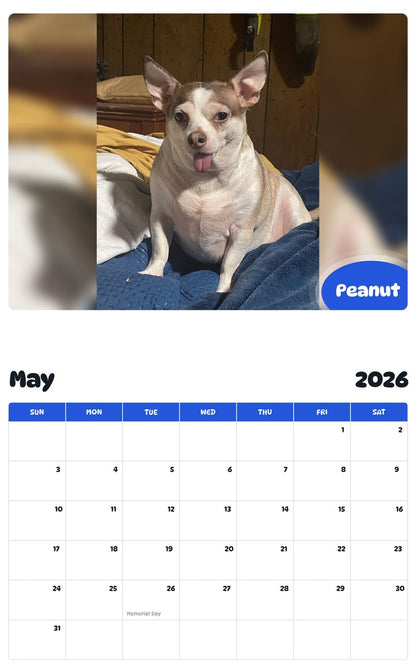 2026 - 2027 Peanut - Pawidols Pet Calendar