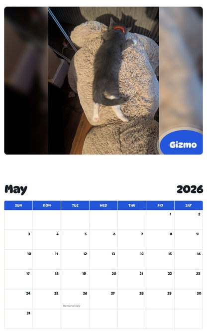 2026 - 2027 Gizmo - Pawidols Pet Calendar