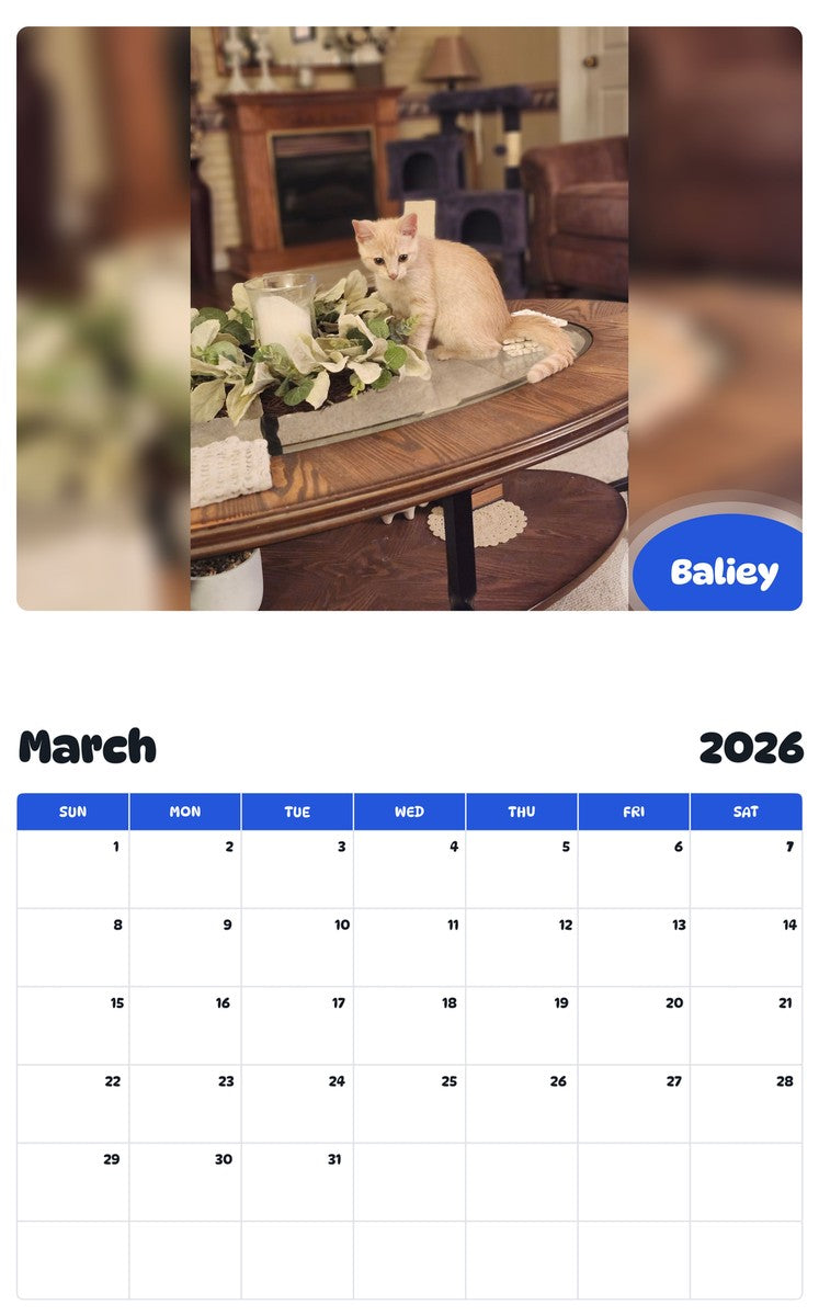 November 2025 - October 2026 Baliey - Pawidols Pet Calendar