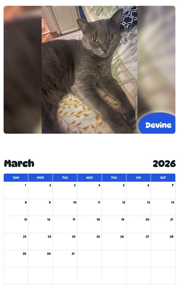 November 2025 - October 2026 Devine - Pawidols Pet Calendar