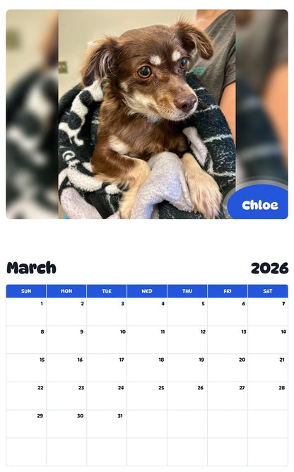November 2025 - October 2026 Chloe - Pawidols Pet Calendar