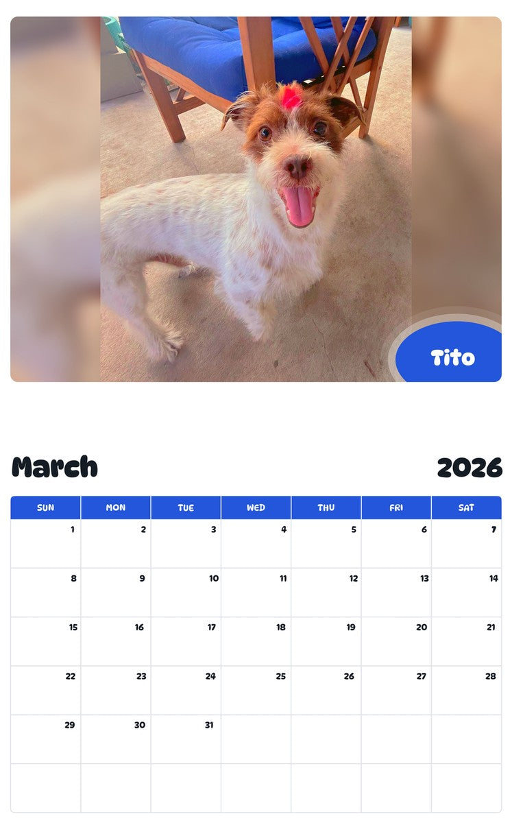 November 2025 - October 2026 Tito - Pawidols Pet Calendar