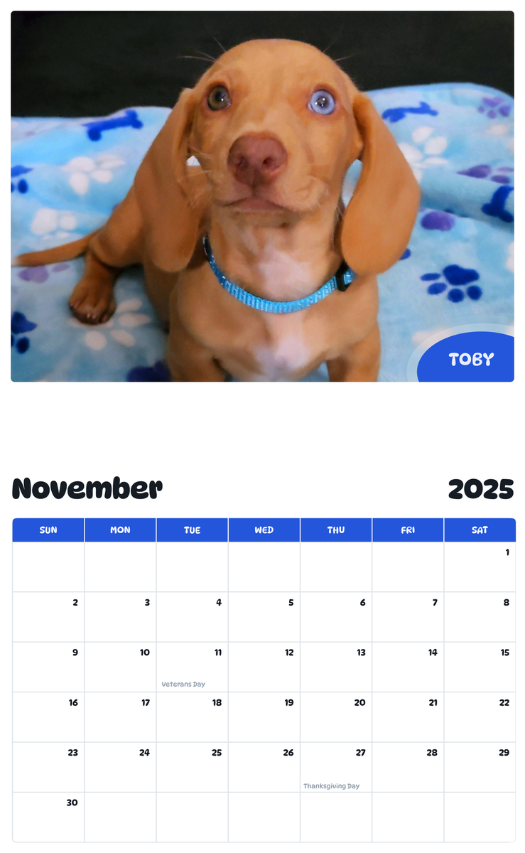 July 2025 - June 2026 Toby - Pawidols Pet Calendar