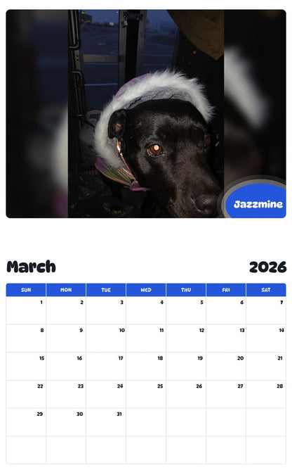 November 2025 - October 2026 Jazzmine - Pawidols Pet Calendar