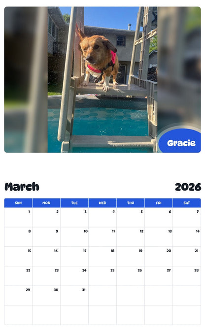 November 2025 - October 2026 Gracie - Pawidols Pet Calendar