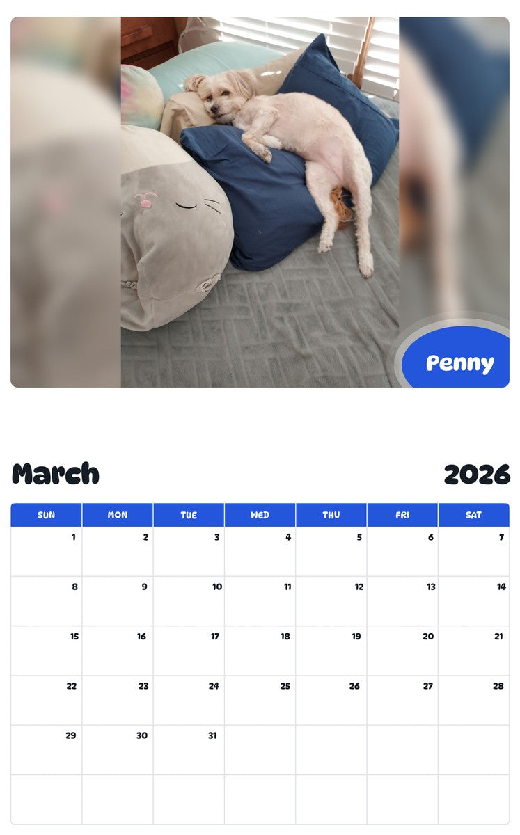 November 2025 - October 2026 Penny - Pawidols Pet Calendar