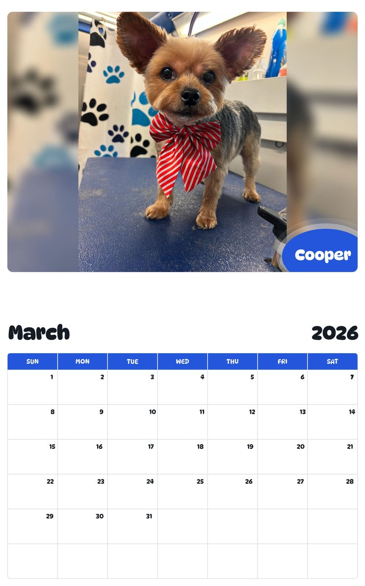 November 2025 - October 2026 Cooper - Pawidols Pet Calendar