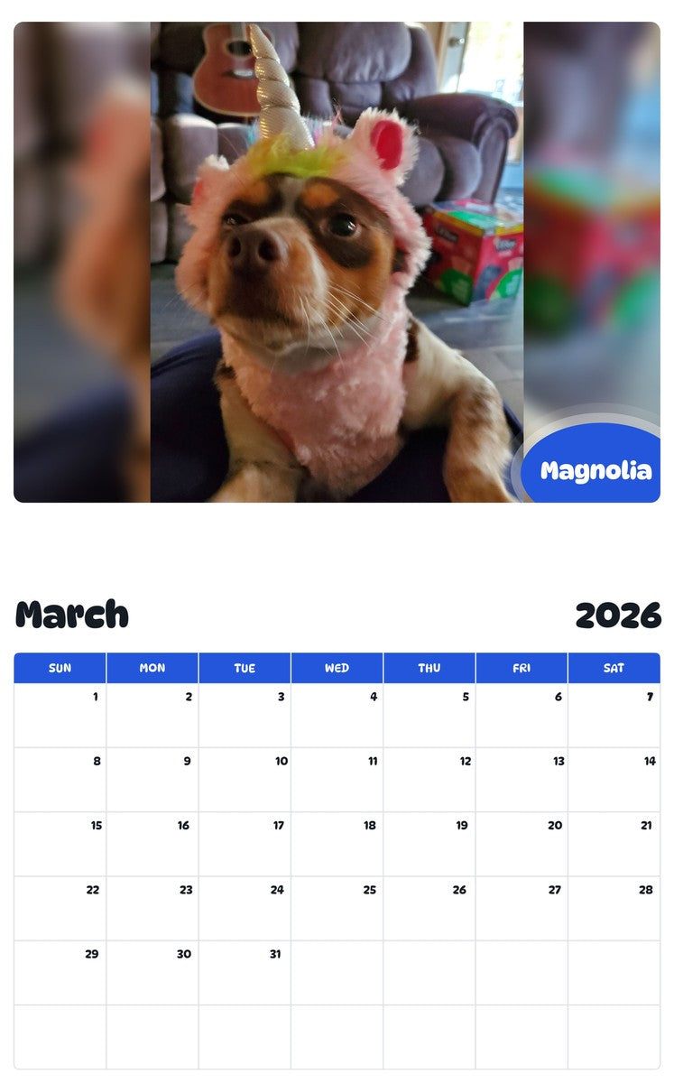 November 2025 - October 2026 Magnolia - Pawidols Pet Calendar