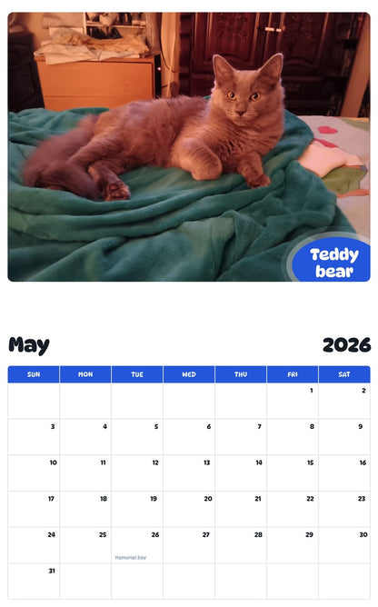 2026 - 2027 Teddy bear - Pawidols Pet Calendar
