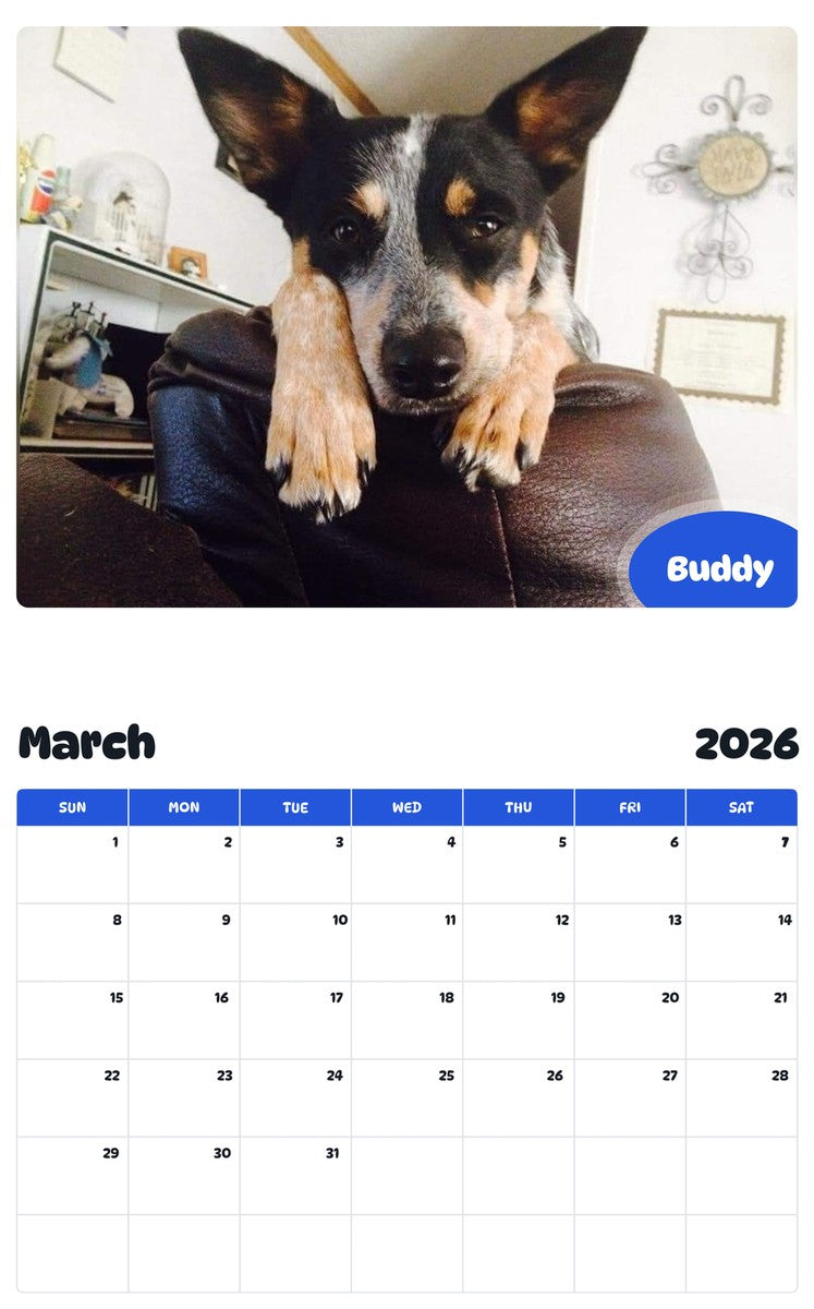 November 2025 - October 2026 Buddy - Pawidols Pet Calendar