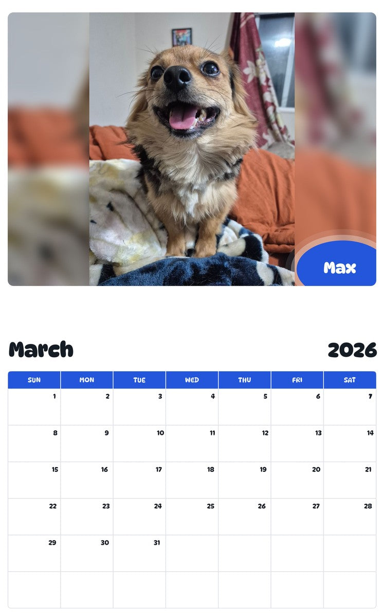 November 2025 - October 2026 Max - Pawidols Pet Calendar