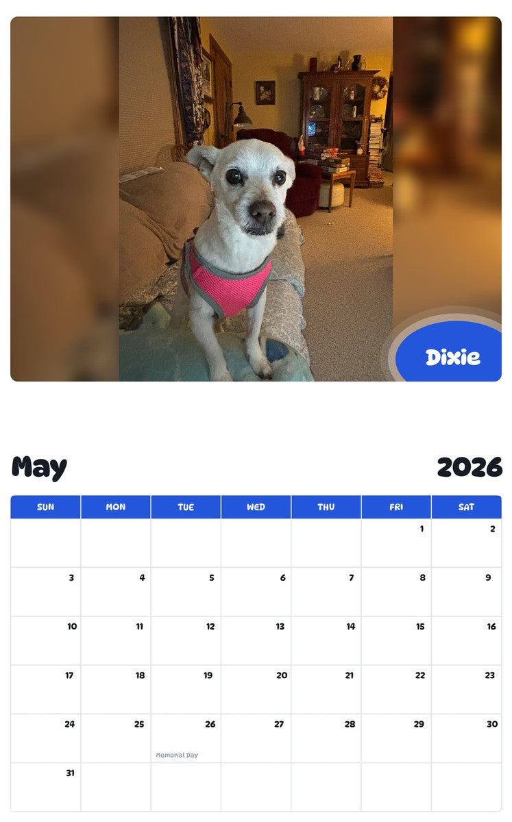 2026 - 2027 Dixie - Pawidols Pet Calendar