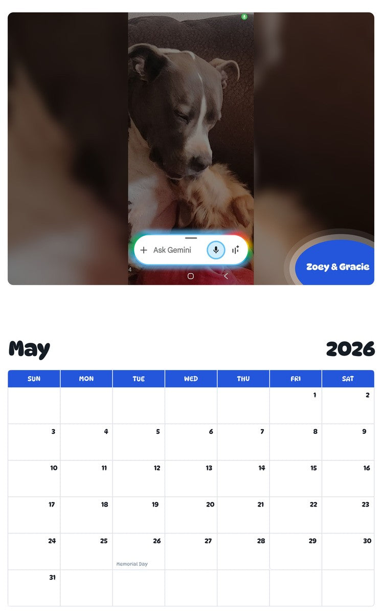 2026 - 2027 Zoey & Gracie - Pawidols Pet Calendar