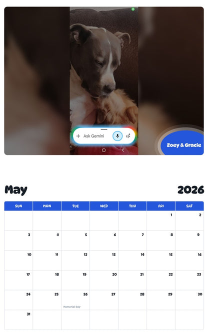 2026 - 2027 Zoey & Gracie - Pawidols Pet Calendar