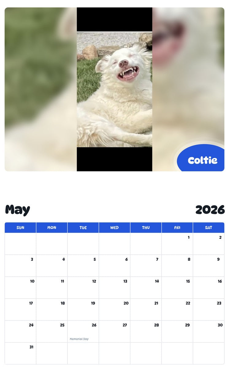 2026 - 2027 Coltie - Pawidols Pet Calendar