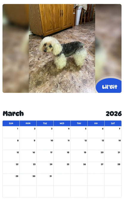November 2025 - October 2026 Lil’Bit - Pawidols Pet Calendar