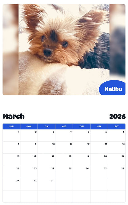 November 2025 - October 2026 Malibu - Pawidols Pet Calendar