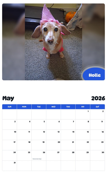 2026 - 2027 Holle - Pawidols Pet Calendar