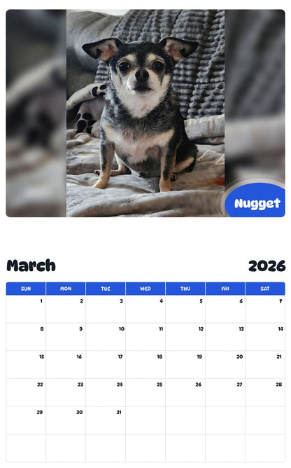 November 2025 - October 2026 Nugget - Pawidols Pet Calendar