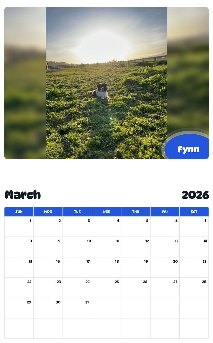 November 2025 - October 2026 Fynn - Pawidols Pet Calendar
