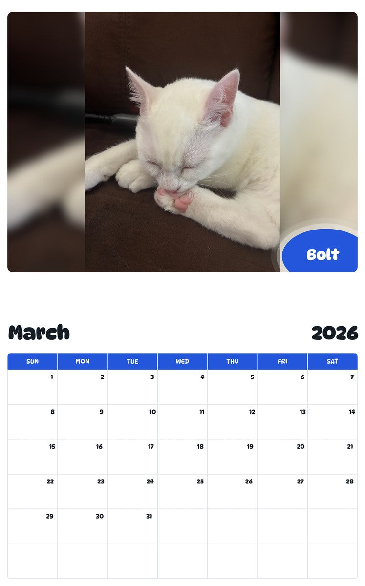 November 2025 - October 2026 Bolt - Pawidols Pet Calendar