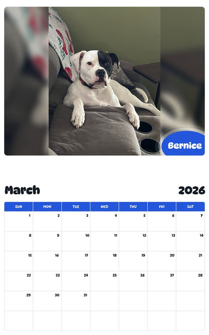 November 2025 - October 2026 Bernice - Pawidols Pet Calendar