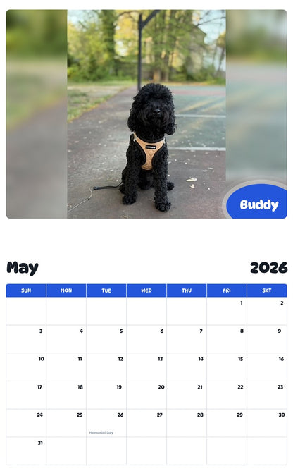 2026 - 2027 Buddy - Pawidols Pet Calendar
