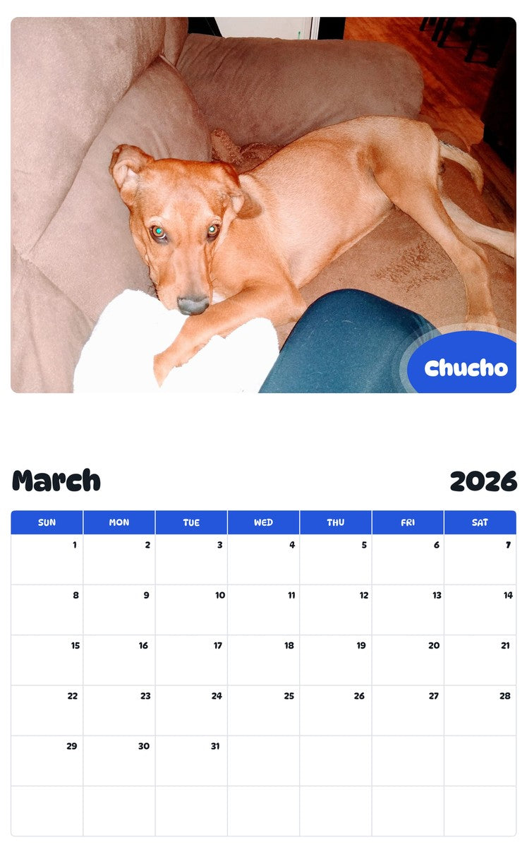 November 2025 - October 2026 Chucho - Pawidols Pet Calendar