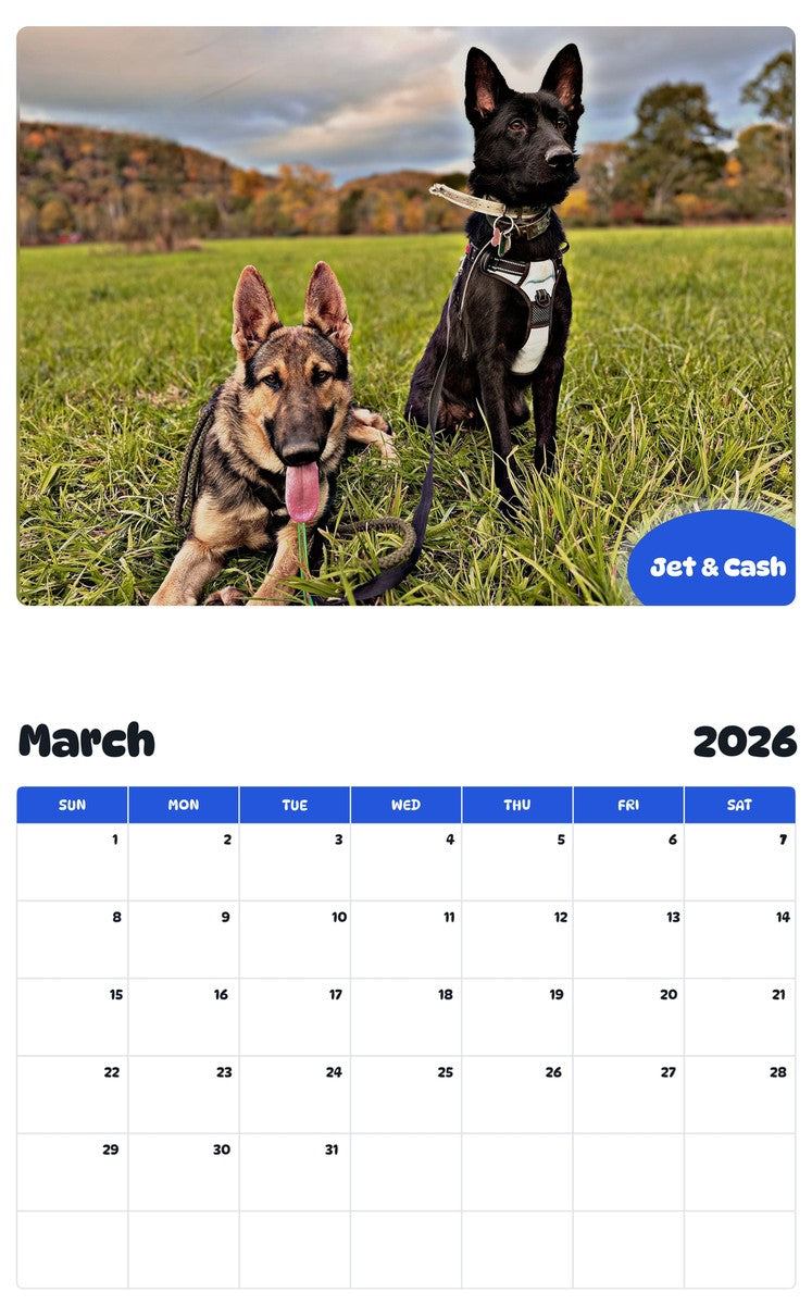 November 2025 - October 2026 Jet & Cash - Pawidols Pet Calendar