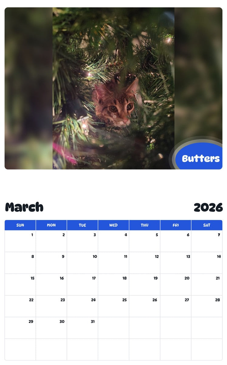 November 2025 - October 2026 Butters - Pawidols Pet Calendar